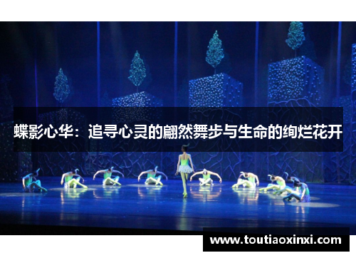 蝶影心华:追寻心灵的翩然舞步与生命的绚烂花开 蝶影心华:追寻心灵的翩然舞步与生命的绚烂花开